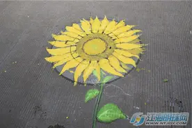 窨井盖秒变3D立体画 南通大学生玩转创意彩绘图片