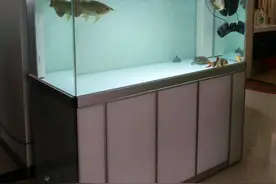 定制一个缸，原来可以这样图片