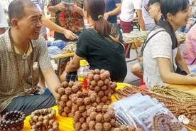 不到海南会文，你不知道菩提佛珠有多火！图片