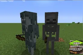 搞趣网：我的世界1.10幽灵骷髅怎么召唤  1.10幽灵骷髅召唤指令详解图片