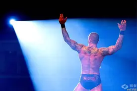 塞纳、罗林斯、兰迪和怀亚特即将回归图片