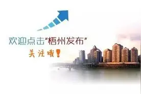 梧州各县（市、区）“一把手”新官上任，你有什么想他们？图片