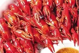 小龙虾是虫子吗？能吃吗？ 丨食闻图片