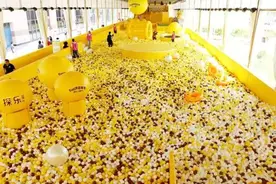 在1000000个海洋球里玩，可以拯救各种不开心｜一天8场，3岁到30岁都能嗨到疯图片