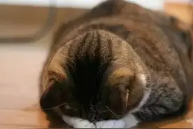 Rin电台美发时可以用到的日语，这回终于知道怎么说了！图片