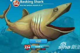 饥饿鲨世界姥鲨属性详解 最大嘴巴的鲨鱼图片