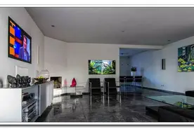 水族百科创造一个现代人的个性空间图片