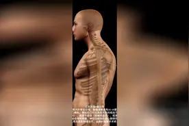 「解剖学动画」脊柱后凸视频封面