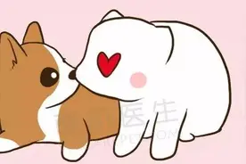 猫狗是如何表达亲密的？图片