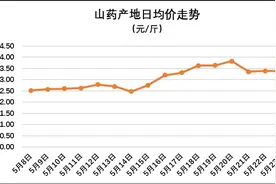 2016年5月23日山药产地价格行情：价格上涨图片