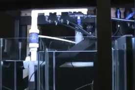 给鱼友们参考：一套完整的鱼缸底滤系统