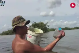 为什么他们随随便便就抓到很多鱼，难道鱼泛滥么视频封面