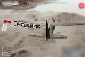 我也学蓝战非在飞机上对全部人喊话，让全跳P城，结果被打成了狗