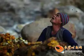 蜂后被困车内 2万蜜蜂为救驾围攻汽车吓傻司机图片