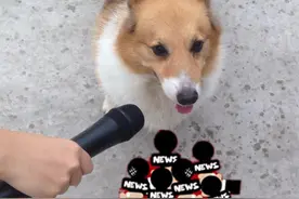 你表白成功后做的第一件事是什么？图片