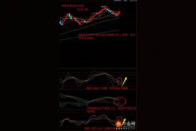 邢祥冬：焦距欧佩克会议，5月30下周一现货原油行情预测图片