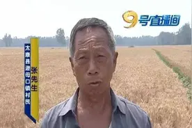 太稀奇麦地现怪井 开水往上冒图片