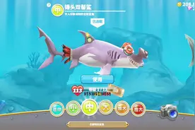 饥饿鲨世界52期锤头鲨双髻鲨眼睛真大啊大海游戏解说视频封面