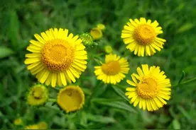 舍得是什么？能舍真的就能得吗？图片