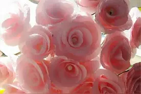 皱纹纸带纸藤的粉玫瑰花制作图解教程图片