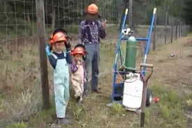 国外实拍视频：爸爸带着孩子们一起打地鼠，都嗨翻了图片