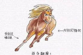 并不是"迷路测试"，麋鹿测试到底是怎么一回事？图片