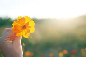 爱你很苦，恨你更难...图片