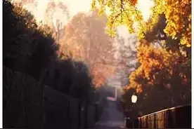 没人疼的时候，就自己疼自己图片