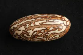 千眼菩提，你选对了吗？图片