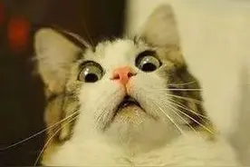 是福利还是负担！广东省公办普通高校学费调整 今秋起涨两成图片