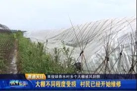 英俊镇香水村 多个大棚被风刮倒图片