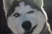 如果哪天你在长沙生活不下去了，一定要看这条微信！图片