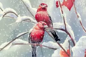 《我不怕什么，只怕爱上你》图片