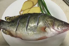 金针鲑鱼咸鲜味图片