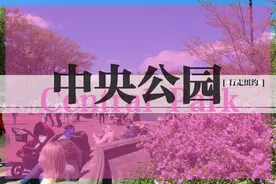 [行走纽约] 中央公园 | 城市与森林一步之遥图片