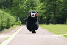 明天开始，湖南这些绝美景点都要免费、半价了！图片