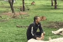 把它放进微波炉，瞬间的变化让人惊呆图片