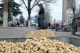 致将逝去的“土制爆米花”，但却成了记忆里最美的一角图片