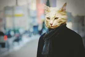 爱情冷笑话之高冷过度图片