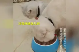 搞笑二豆来袭：豆哥的外号不愧是刘大脑袋，真是乐死了图片