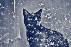 一期一会|J博士英语之 Ghosting Someone图片