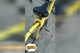 小黄车正确的开锁方式视频封面