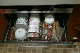 蟑螂的危害之厨房碗筷蟑螂爬过了有细菌要及时灭除