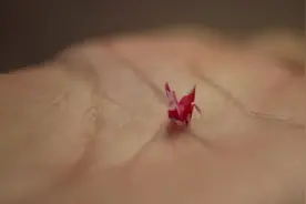 世界上最小的千纸鹤，折出来还没有指甲大！视频封面