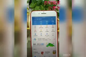 支付宝账号到底能绑定多少个手机号？视频封面