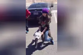 国外靓妹把猛犬当马骑，不得不佩服妹子的勇气视频封面