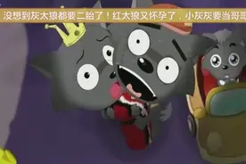 没想到灰太狼都要二胎了！红太狼又怀孕了，小灰灰要当哥哥了