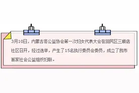 呼和浩特市成立首家社会公益组织妇联图片