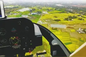 大美乡村 空中看油菜花海中的家图片