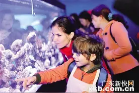 珠海长隆开启“海洋总动员”图片